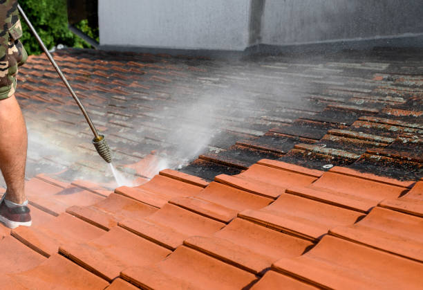 Best Pressure Washing Brick  in Woodville, AL