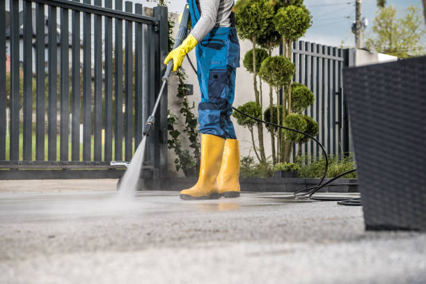 Best Local Pressure Washing Services  in Woodville, AL