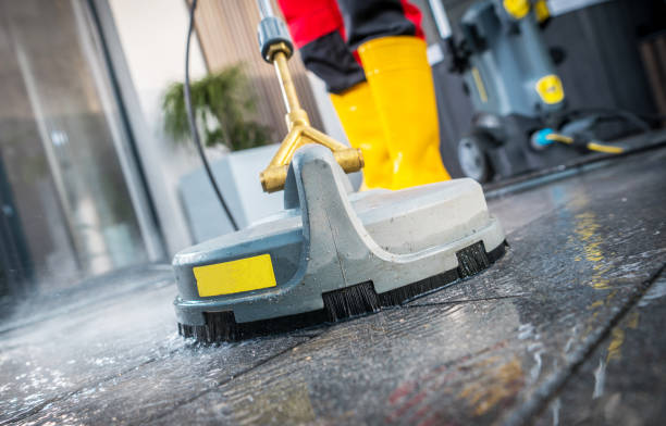 Best Roof Pressure Washing  in Woodville, AL